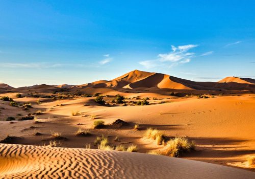 ert moroo-compressed